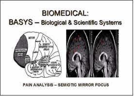 FIGURE 48: SEMIOTIC MIRROR FOCUS