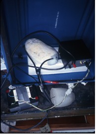 FIGURE 49: LAURIE STUDIO - ROCK SENSOR ATTACHED TO RATE OF CHANGE CONVERTER.