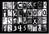 FIGURE 50: BUTTERFLY WING SEMIOTICS
