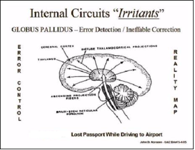 FIGURE 52: GLOBUS PALLIDUS