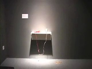 Shadow Show opening
