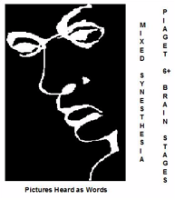 FIGURE 27: ILLUSION: FIND THE WORD “LIAR” IN THE IMAGE.