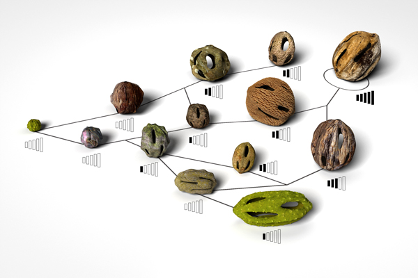 Acoustic Botany - Selective Breeding