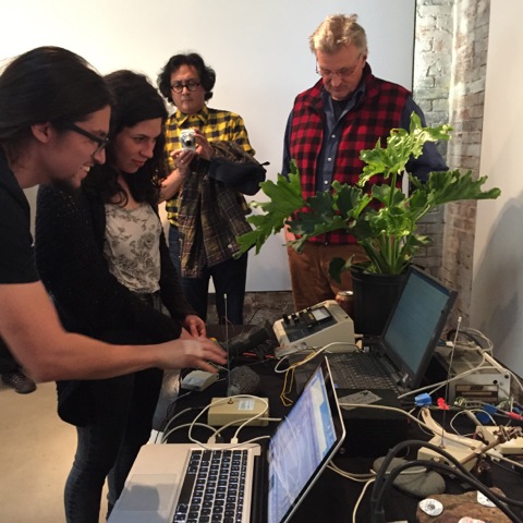 Duncan Laurie and plants perform at Whitespace in Atlanta.