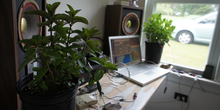 Sonification station