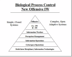 FIGURE 57: NEW OFFENSIVE INFORMATION WARFARE (IW)